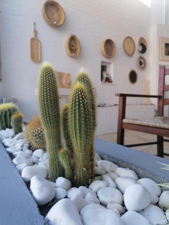 Afrodite Luxury Rooms Telendos Exterior photo